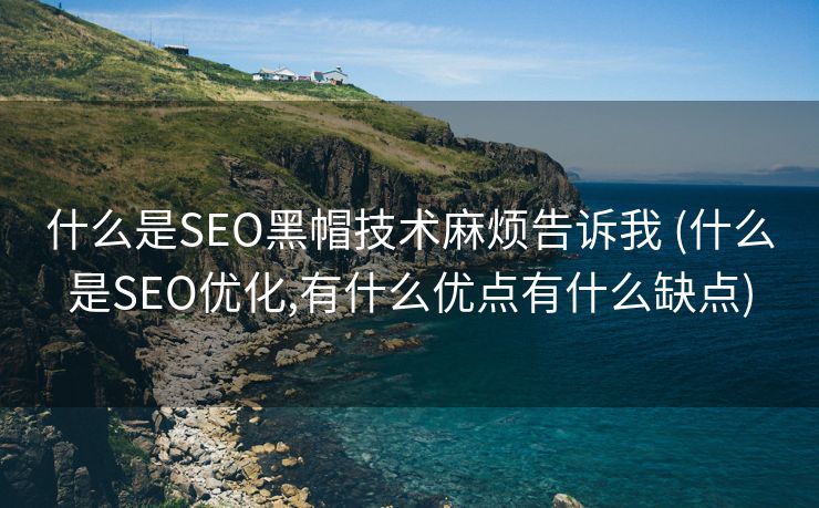 什么是SEO黑帽技术麻烦告诉我 (什么是SEO优化,有什么优点有什么缺点)