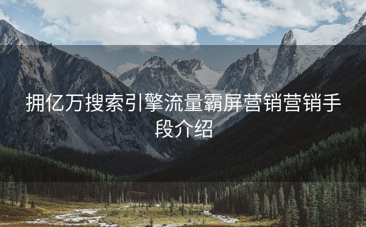 拥亿万搜索引擎流量霸屏营销营销手段介绍