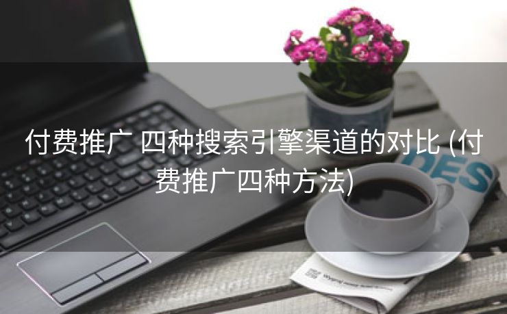 付费推广 四种搜索引擎渠道的对比 (付费推广四种方法)