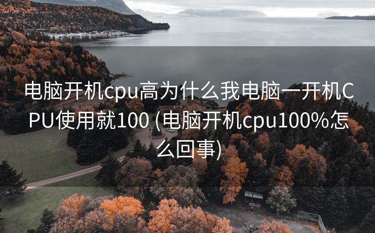 电脑开机cpu高为什么我电脑一开机CPU使用就100 (电脑开机cpu100%怎么回事)