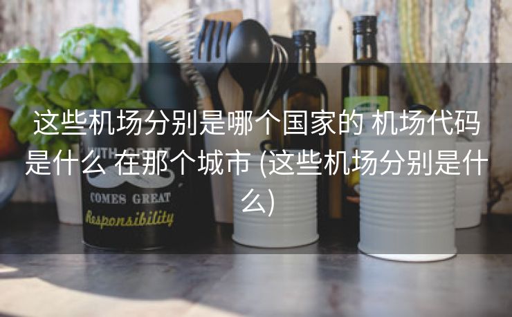这些机场分别是哪个国家的 机场代码是什么 在那个城市 (这些机场分别是什么)