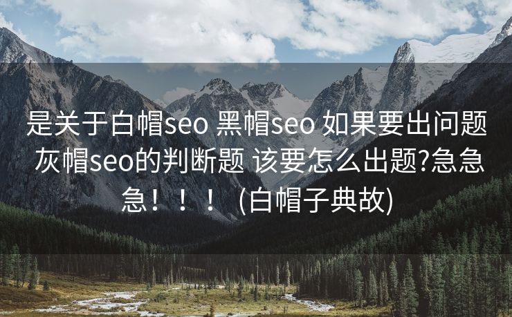 是关于白帽seo 黑帽seo 如果要出问题 灰帽seo的判断题 该要怎么出题?急急急！！！ (白帽子典故)
