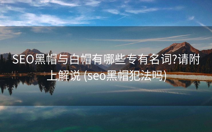 SEO黑帽与白帽有哪些专有名词?请附上解说 (seo黑帽犯法吗)