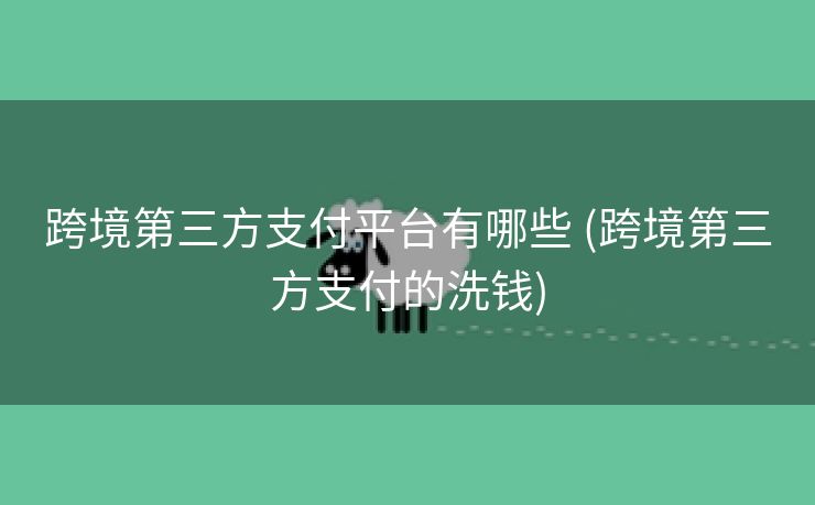 跨境第三方支付平台有哪些 (跨境第三方支付的洗钱)