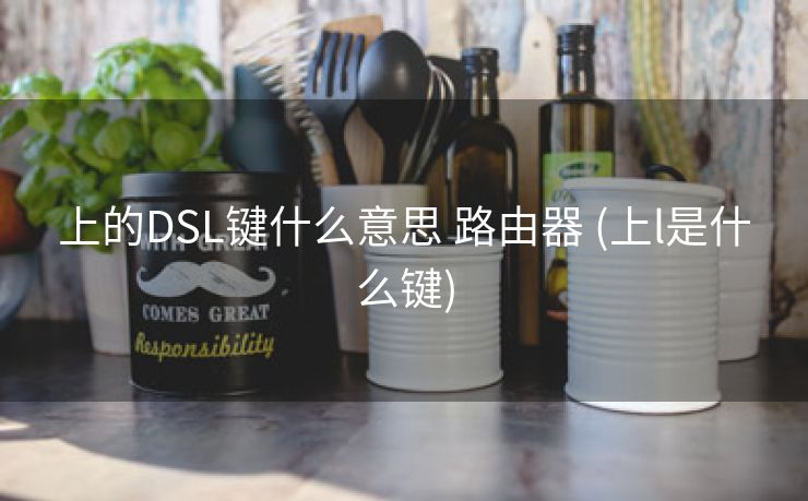 上的DSL键什么意思 路由器 (上l是什么键)