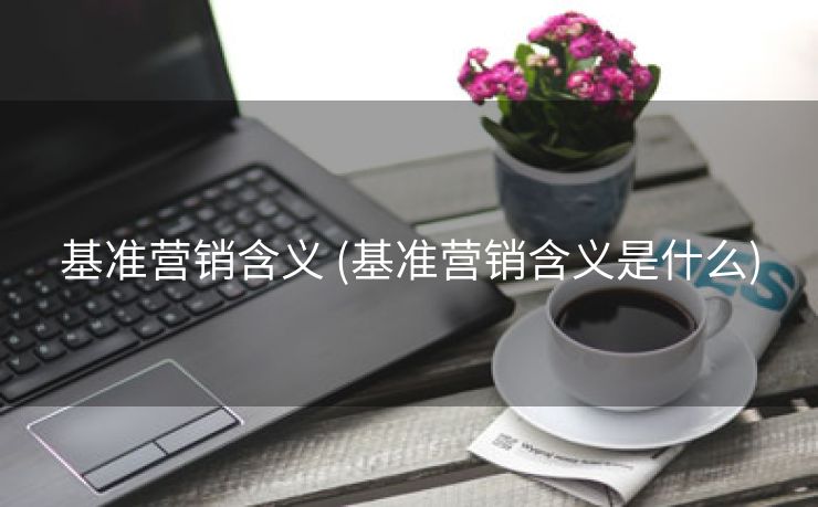 基准营销含义 (基准营销含义是什么)