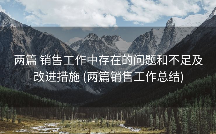 两篇 销售工作中存在的问题和不足及改进措施 (两篇销售工作总结)