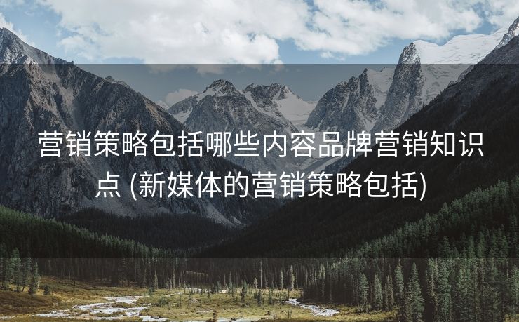 营销策略包括哪些内容品牌营销知识点 (新媒体的营销策略包括)