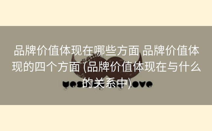 品牌价值体现在哪些方面 品牌价值体现的四个方面 (品牌价值体现在与什么的关系中)