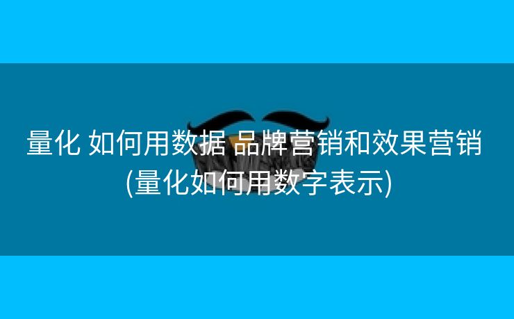量化 如何用数据 品牌营销和效果营销 (量化如何用数字表示)