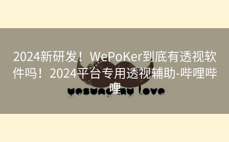 2024新研发！WePoKer到底有透视软件吗！2024平台专用透视辅助-哔哩哔哩