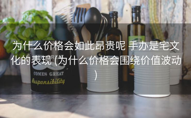 为什么价格会如此昂贵呢 手办是宅文化的表现 (为什么价格会围绕价值波动)