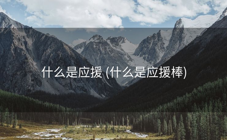 什么是应援 (什么是应援棒)