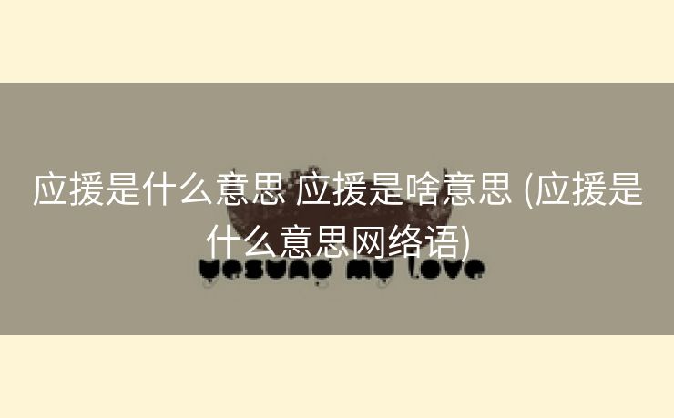 应援是什么意思 应援是啥意思 (应援是什么意思网络语)