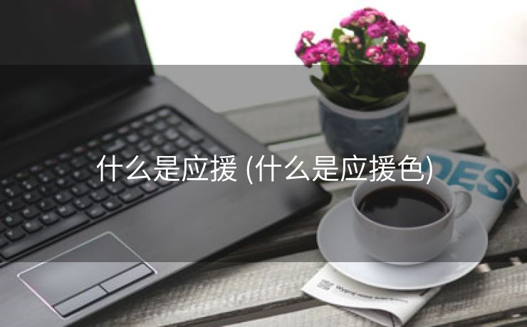 什么是应援 (什么是应援色)