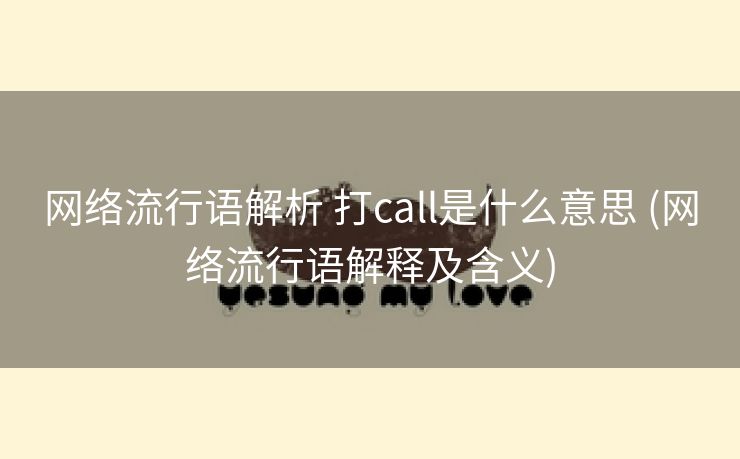 网络流行语解析 打call是什么意思 (网络流行语解释及含义)