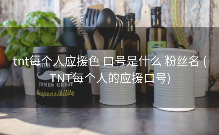 tnt每个人应援色 口号是什么 粉丝名 (TNT每个人的应援口号)