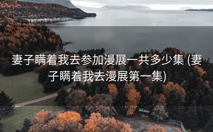 妻子瞒着我去参加漫展一共多少集 (妻子瞒着我去漫展第一集)