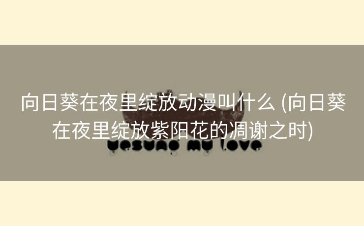 向日葵在夜里绽放动漫叫什么 (向日葵在夜里绽放紫阳花的凋谢之时)