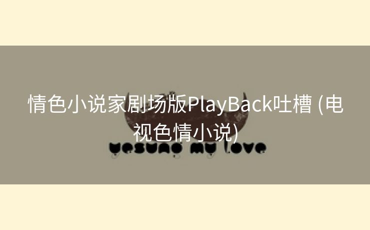情色小说家剧场版PlayBack吐槽 (电视色情小说)