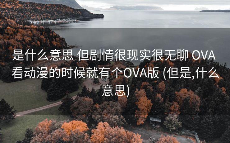 是什么意思 但剧情很现实很无聊 OVA 看动漫的时候就有个OVA版 (但是,什么意思)