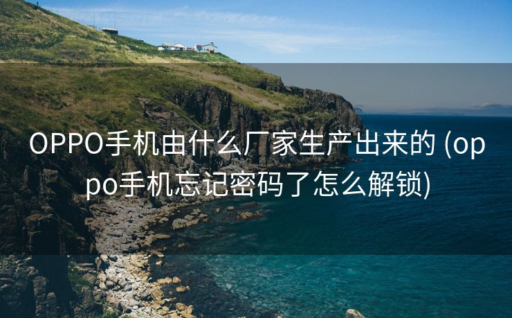 OPPO手机由什么厂家生产出来的 (oppo手机忘记密码了怎么解锁)