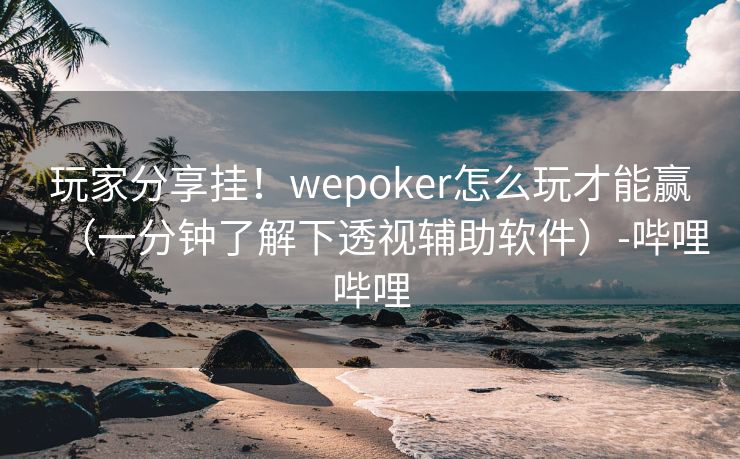 玩家分享挂！wepoker怎么玩才能赢（一分钟了解下透视辅助软件）-哔哩哔哩
