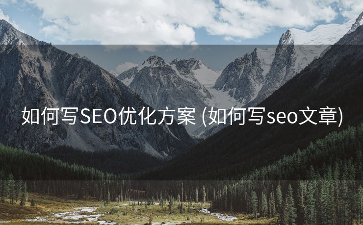 如何写SEO优化方案 (如何写seo文章)