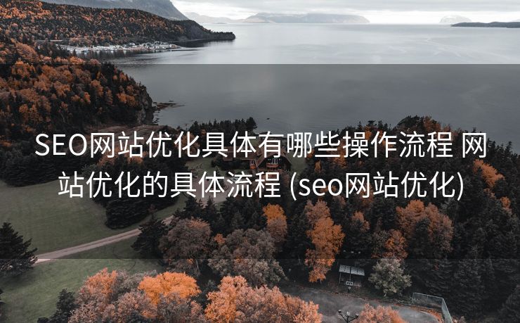 SEO网站优化具体有哪些操作流程 网站优化的具体流程 (seo网站优化)