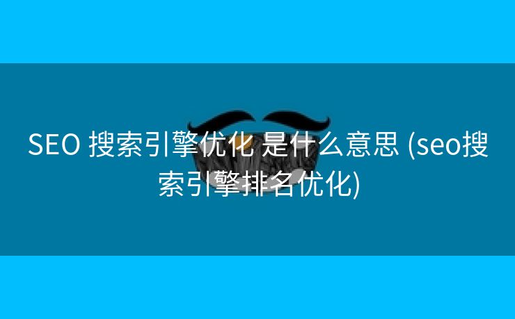SEO 搜索引擎优化 是什么意思 (seo搜索引擎排名优化)