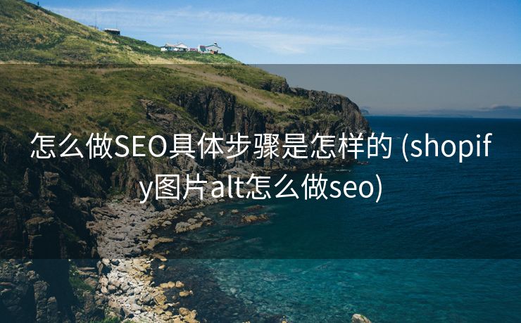 怎么做SEO具体步骤是怎样的 (shopify图片alt怎么做seo)