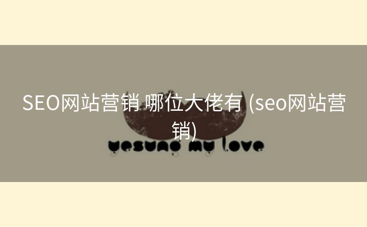 SEO网站营销 哪位大佬有 (seo网站营销)