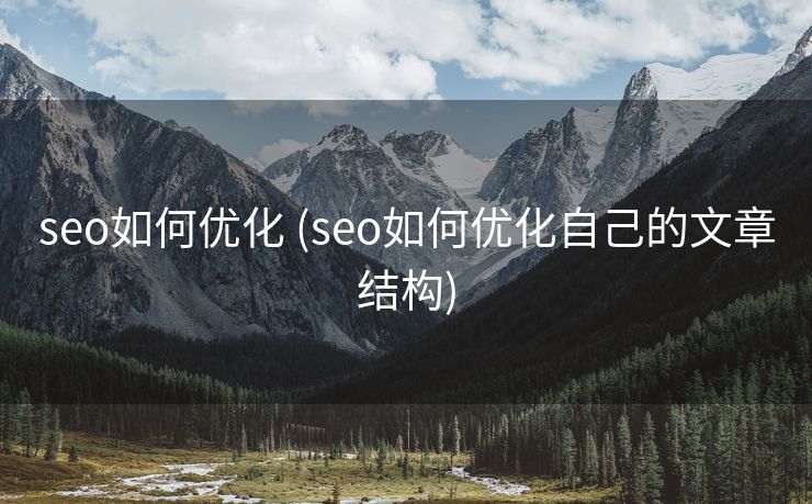 seo如何优化 (seo如何优化自己的文章结构)