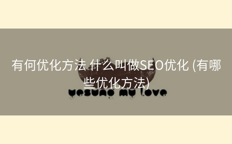 有何优化方法 什么叫做SEO优化 (有哪些优化方法)