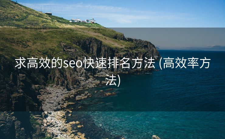 求高效的seo快速排名方法 (高效率方法)