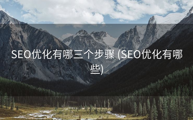 SEO优化有哪三个步骤 (SEO优化有哪些)
