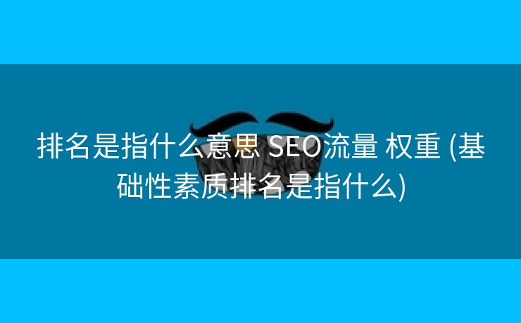 排名是指什么意思 SEO流量 权重 (基础性素质排名是指什么)