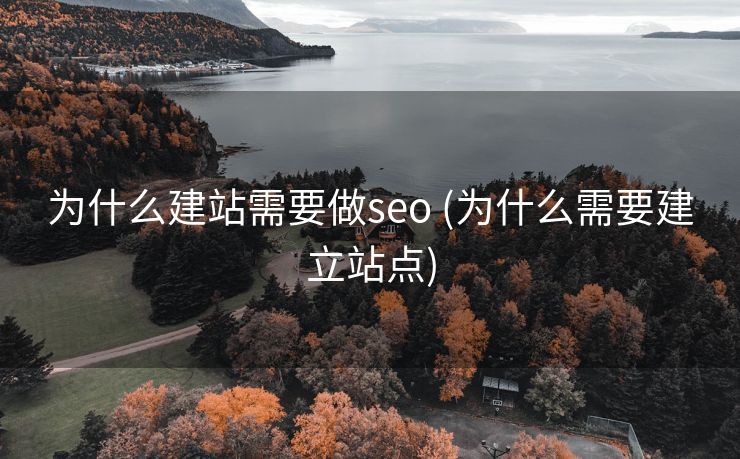 为什么建站需要做seo (为什么需要建立站点)