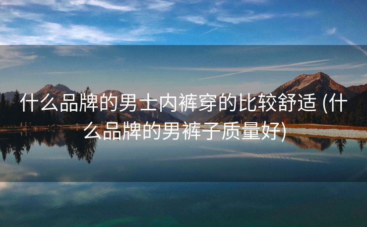 什么品牌的男士内裤穿的比较舒适 (什么品牌的男裤子质量好)