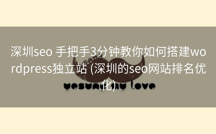 深圳seo 手把手3分钟教你如何搭建wordpress独立站 (深圳的seo网站排名优化)