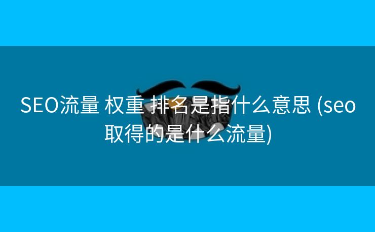 SEO流量 权重 排名是指什么意思 (seo取得的是什么流量)