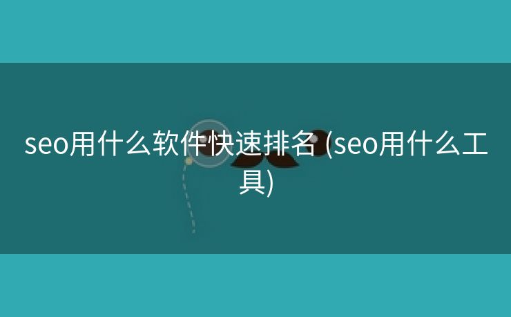 seo用什么软件快速排名 (seo用什么工具)
