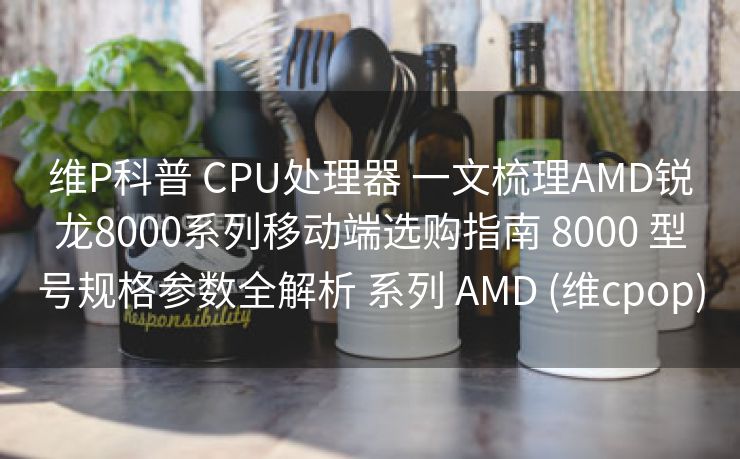 维P科普 CPU处理器 一文梳理AMD锐龙8000系列移动端选购指南 8000 型号规格参数全解析 系列 AMD (维cpop)