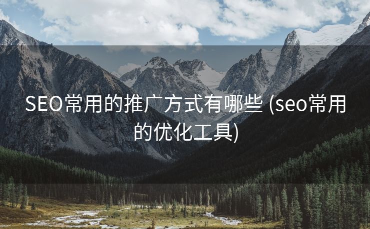 SEO常用的推广方式有哪些 (seo常用的优化工具)