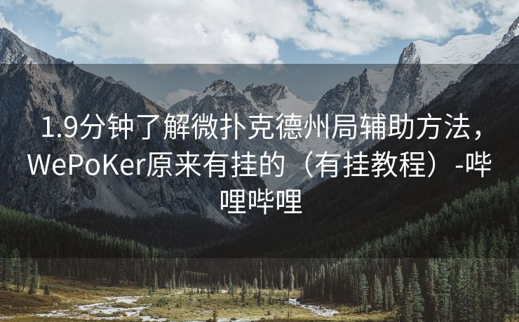1.9分钟了解微扑克德州局辅助方法，WePoKer原来有挂的（有挂教程）-哔哩哔哩