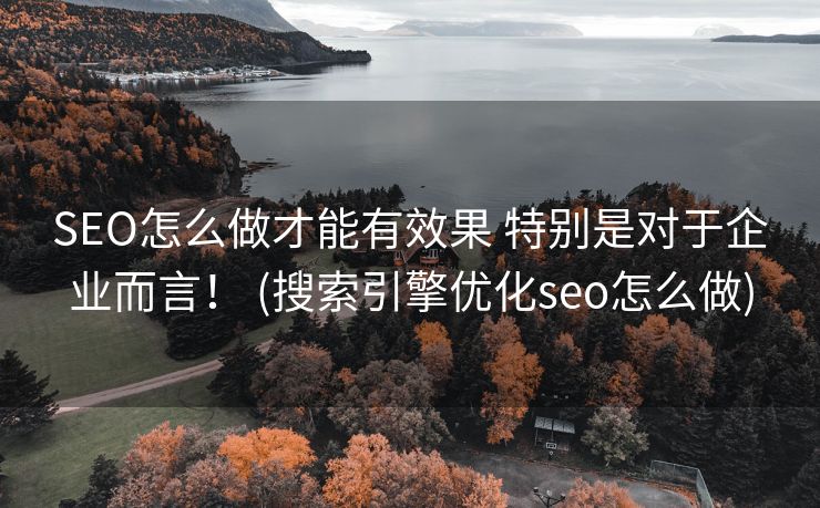 SEO怎么做才能有效果 特别是对于企业而言！ (搜索引擎优化seo怎么做)
