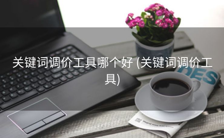 关键词调价工具哪个好 (关键词调价工具)