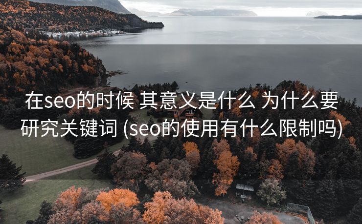 在seo的时候 其意义是什么 为什么要研究关键词 (seo的使用有什么限制吗)