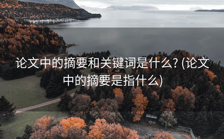 论文中的摘要和关键词是什么? (论文中的摘要是指什么)