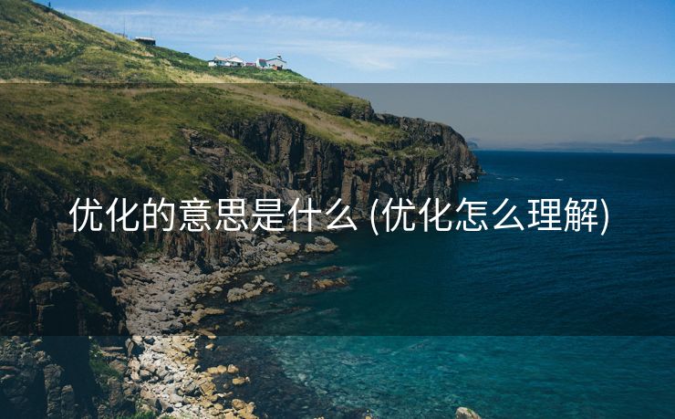 优化的意思是什么 (优化怎么理解)